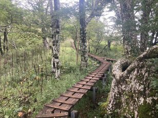 西丹沢の静かな秋登山！ 「檜洞丸」アルプス並み標高差1100ｍ「ビジターセンター」から3時間半「体力ルート」登頂レポ