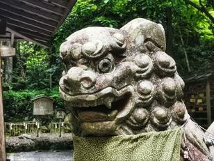 「動く狛犬の目」夕暮れの森でアケビ採り… 帰り着いた「遊び場」の神社で突然背後から声が！？  振り向くとそこには！ 【不思議で怖い「山の体験談」】