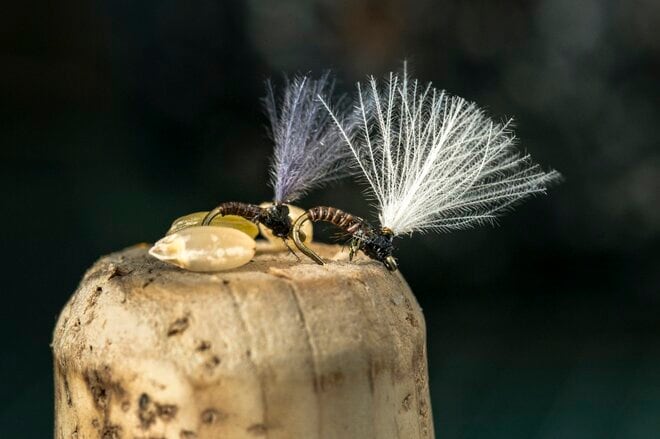 【渓流釣り】沈めて浮かせて……「そっぽを向かれても無視されても、夢中で誘い続けたフライフィッシング！」 神流川・群馬県上野村｜2026年の画像010