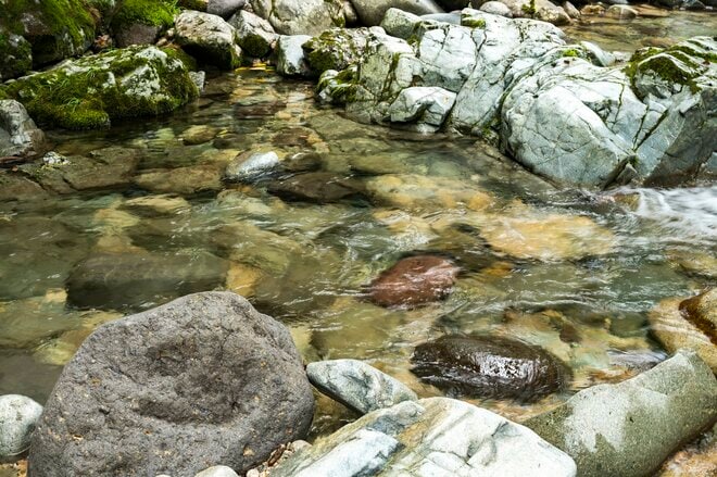 【渓流釣り】最終日前日の飛騨の渓、そぼ降る雨に警戒心がゆるむ秋色ヤマメたち　岐阜県・2025年の画像008