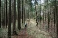 【大人気の高尾山ハイキング】混雑を回避する “静かな尾根道”「南高尾山稜」への画像014
