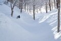 ＜長野県：斑尾高原＞天然のブランド雪「マダパウ」を徹底的に楽しむ【パウダーゲレンデガイド '25】の画像003