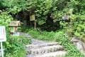 バラエティ豊かな登山コース「棒ノ折山」夏こそ行きたい “涼感” の魅力！ 「木漏れ日の樹林帯・Vの字谷・沢沿い歩き」＆絶景の「山頂広場」レポの画像002