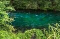 「10月に入ったけれど…… まだ渓流釣りができる自然河川」 秋の気配漂う静岡・芝川でフライフィッシング！ 美しいアマゴと銀ピカのニジマスに出会うの画像005
