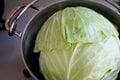 見た目のインパクト大！  ダッチオーブンで作る春のキャンプ飯「巻かないまるごとロールキャベツ」【季節の外ごはん vol.61】の画像014