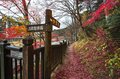 【紅葉流れる渓谷美】「箒川キャッチ＆リリースエリア」で紅に染まるニジマスを狙う！ 2022年《栃木県》の画像003