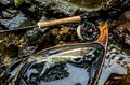 【渓流釣り】「ようやく行けた！」ずっと気になっていた渓は森育ちのイワナたちの魚影濃く、しかも高活性だった！  新潟県｜2026年の画像005