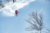 「パウダーを狙うために良い時、良い場所を知る」石川・セイモア周辺エリア攻略法【中田寛也～Home Mountain vol.4】