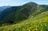 空へと吸い込まれていく黄色の絨毯。南アルプス最大のお花畑「荒川三山」を巡る【南アルプスの日々 vol.7】の画像002