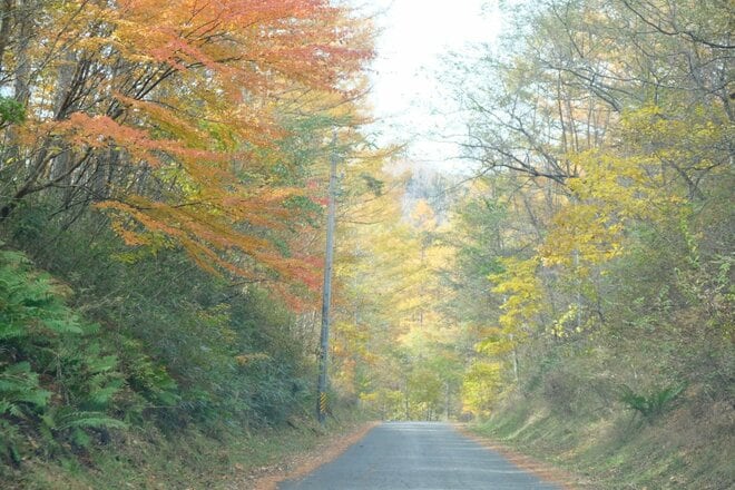 「八ヶ岳×紅葉×秘湯×高原グルメ」の贅沢プラン！  11月の ”おすすめドライブコース国道141号線” が紅葉の最盛期の画像001