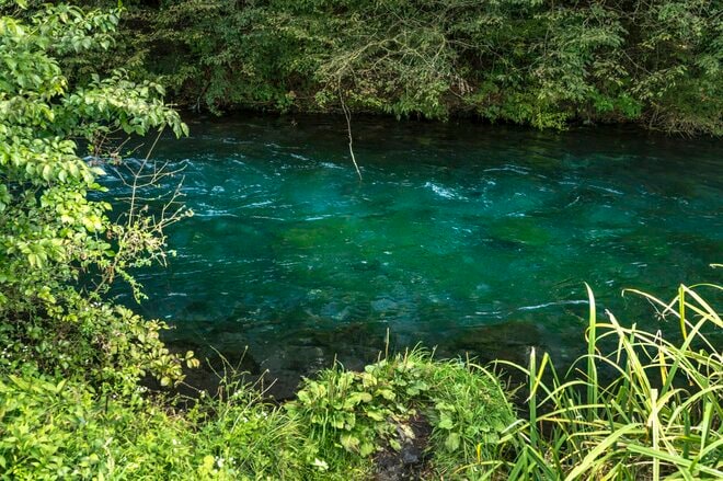 「10月に入ったけれど…… まだ渓流釣りができる自然河川」 秋の気配漂う静岡・芝川でフライフィッシング！ 美しいアマゴと銀ピカのニジマスに出会うの画像005