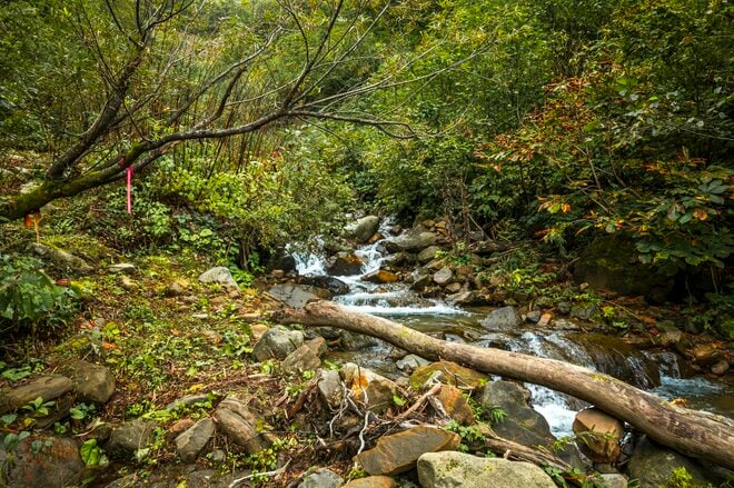 【登山】ピーク直前！ 紅葉人気の100名山、雨飾山「今年の彩りはいかに？」 長野県｜新潟県 2026年の画像004