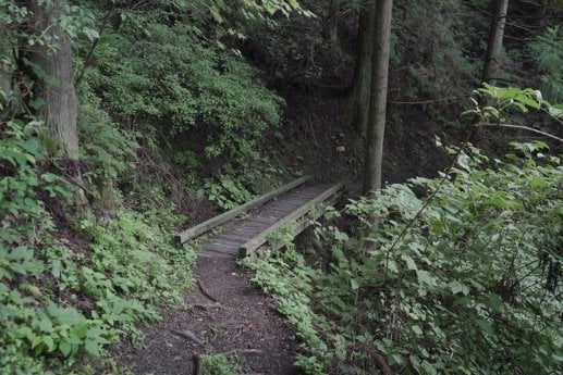 ＜紅葉前に“関西屈指”のススキの大海原もお見逃しなく！＞大阪市内から“車で小一時間で行ける”「岩湧山」ハイキングルート【里山アドベンチャー！ソトアソ日和 vol.７】の画像021