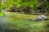 【渓流釣り】新緑の季節、美しい渓は水生昆虫たちのパラダイスだった！  “フライフィッシング”  栃木県｜2026年