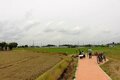 「埼玉、群馬、栃木の3国（？）国境には何があるのか？」 日本でただひとつ「平地の3県境」なる地点を越境マニアがレポート！　茨城も至近！【越えて国境、迷ってアジア vol.06「北関東ゴールデントライアングル」】の画像009
