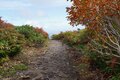 広がる色彩の海！  紅葉の絨毯が広がる東北の名山へ【栗駒山】の画像001
