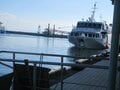 【世界自然遺産・屋久島】 屋久島をレンタカーで一周するドライブ旅「千尋の滝・大川の滝・ガジュマル・西部林道」を一日でめぐる！の画像001