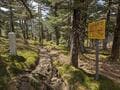 日本百名山＆世界遺産「大峰山」 国道309号線「冬季通行止め」解除で近畿最高峰「八経ヶ岳」へ！  弥山登山口から登山レポの画像008