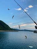 ミサイルよりもキャンプ場！  ”町の秘策”は釣り好き垂涎「全国有数の豊かな海」にあったの画像003