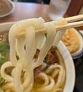 タモリさんも大好き！  全国「唯一無二」の魅力・博多うどん「現地実食レポート」美味出汁と81歳女性店主に癒やされる『因幡うどん』と行列ができる人気店『うどん平』の画像005