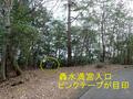 秘境感漂う静かな低山「鹿倉山」 神々しい社＆苔むす岩々と展望のハイキング【京都府福知山市・兵庫県丹波篠山市】の画像006