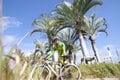 【寒い今こそ自転車で訪れたい】「沖縄やんばるグラベルキャンプツーリング」365日軽装でキャンプツーリングできる」楽園の島への画像004
