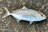 魚種が豊富で大型サイズも狙える大人気の釣りフィールド「磯」からのルアー釣り！「 安全装備・注意点・便利グッズ」とは？の画像001