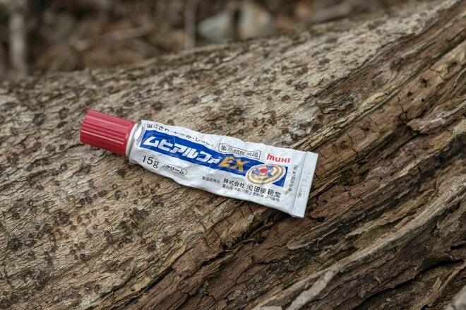 日本の秋はスズメバチの季節！ 「刺されないために・準備と行動が大切」絶滅危惧種のチャイロスズメバチにも要注意・2022年の画像006
