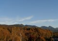 【2024年10月 第4週】今週末の紅葉の見ごろは？  名所＆人気スポットの最新情報をお届け「WEEKLY紅葉ニュース」の画像014