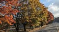 今週末の紅葉見るならどこ？　名所＆人気スポットから最新情報をお届け「WEEKLY紅葉ニュース」【2023年11月第1週】の画像009