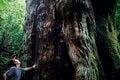 【富士山の次に登る山 vol.3】登山の魅力はムゲン大「複数の頂を踏む連峰」 四国アルプス・屋久島・信越トレイルの画像007