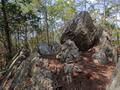 ゴールデンウィークには「ツツジ」が彩る、丹波「向山連山」 ユニーク岩たどる低山縦走＆「黒井城跡」見下す絶景レポート【兵庫県丹波市】の画像009