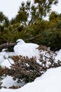【ハイカー女子の一杯】憧れの雪の立山！ 「雪上テント泊でお昼寝！＆異世界の絶景を堪能」  “5杯目” 富山県・2025年の画像006