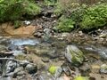 山は誰が守っていくのか？  従来の枠組みを超えた「未来型の登山道管理」へ【100年先までつなぐ、大雪山の自然と登山道 vol.3】の画像003