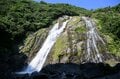 【世界自然遺産・屋久島】 屋久島をレンタカーで一周するドライブ旅「千尋の滝・大川の滝・ガジュマル・西部林道」を一日でめぐる！の画像015