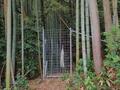 まるで竹田城！？　穴場の絶景山城「岩尾城」 野趣あふれる「天空の石垣＆曲輪」 兵庫県丹波市・蛇山「山頂レポ」の画像011