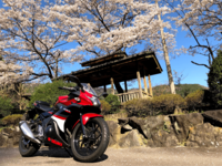いよいよ春のツーリングシーズン！  思わぬトラブルを防ぐための「冬眠明け」バイクメンテナンス「5つのポイント」とは？