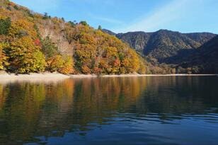 大量発生「カメムシ」で魚は釣れるのか！？  トラウト聖地「丸沼」での晩秋「カメムシ・パターン」マス釣りレポ