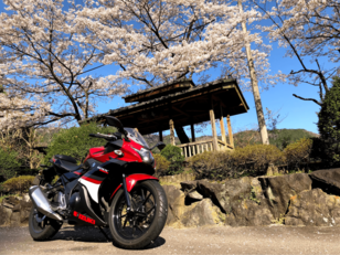 いよいよ春のツーリングシーズン！  思わぬトラブルを防ぐための「冬眠明け」バイクメンテナンス「5つのポイント」とは？