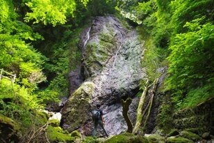 【梅雨時にこそ歩きたい】みずみずしい新緑と水の音に癒される滝見ハイキングルート「坊滝編」【今日も山旅気分 vol.32】