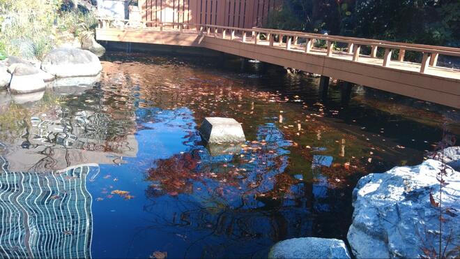 山手線内の“超”低山ハイキングは歴史＆面白ぎっしり！  東京23区内の最高と最低峰、日本最古の三角点、登山証明の発行も！  厳選3山「現地レポ」の画像013