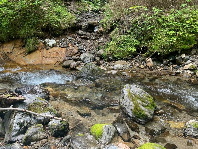 山は誰が守っていくのか？  従来の枠組みを超えた「未来型の登山道管理」へ【100年先までつなぐ、大雪山の自然と登山道 vol.3】の画像003