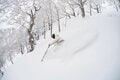 日本が世界に誇るスノートリップタウン【札幌の魅力】大都会と山が共存する奇跡の街は「美食＆スキー天国」の画像014