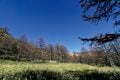 この秋に行きたい！ 至極の紅葉登山【最終回】今が見ごろ、まだ間に合う関東近郊の「浅間山・丹沢山・大菩薩嶺」の画像004