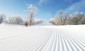 世界的「天然雪スキー天国」日本！「スキーデビュー最適プログラム」、「お米になるクーポン券」ほか信越エリアを楽しめる「お得すぎるリフト券」の画像003