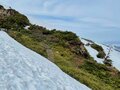 【期間限定】春の2週間だけ滑れるプレミアムな山！  残雪期の至仏山〈群馬県〉2022年の画像001