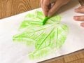 キャンプで子どもが言う「やだ！」の理由、その解決方法は？！【家族でソトアソビ！vol.2】の画像004