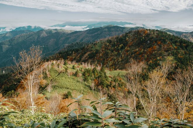 【日本百名山】感動しっぱなし！ 百聞は一見にしかず！ 紅葉の恵那山へ《長野県・岐阜県》2022年の画像008