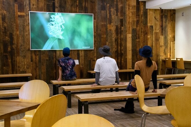 雨でも全然楽しい?!  栂池自然園の「MIKKETA！（ミッケタ）」は大人も十分楽しめる“自然体験プログラム”  自然園のお隣り！ 雲上の特等宿「栂池山荘」では自慢の“地の料理”を堪能！【中部山岳国立公園】の画像013