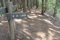 絶景の「陣馬山」登山口から1時間で登頂コース！ 「陣馬高原下バス停」スタート「和田バス停」下山「山頂茶屋でのんびり」自然林ハイキングの画像007